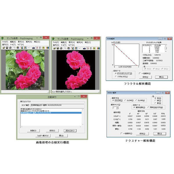 画像処理・画像解析ソフトウェア「PopImaging」のイメージ画像