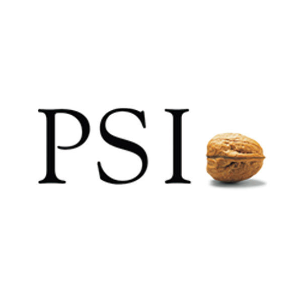 PSIメタルズのイメージ画像
