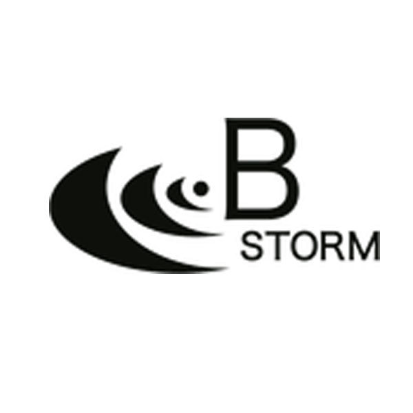 株式会社B-STORMのイメージ画像