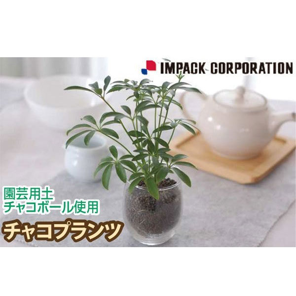 人と環境に優しいインドアグリーンを提供 Kjcbiz 企業のビジネスを応援する日本最大級のコミュニティサイト