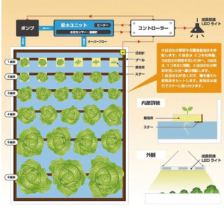 育生と観賞を楽しむ水耕栽培器のイメージ画像