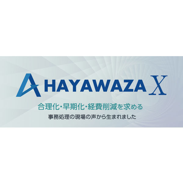 膨大なデータ、エクセルファイルを高速に様々な会計ソフトに対応した仕訳データに変換するソフト　HAYAWAZA Xのイメージ画像