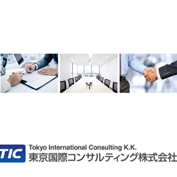 東京国際コンサルティング株式会社のイメージ画像