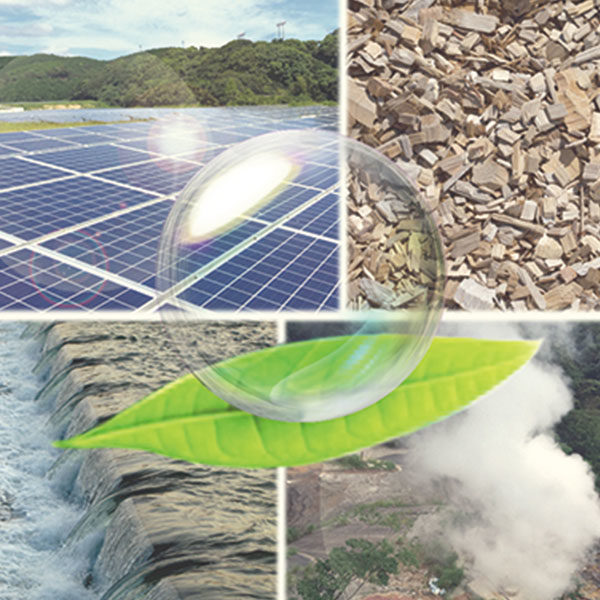 エネルギーの未来を自然の力で変えていく!再生可能エネルギーのパイオニアのイメージ画像