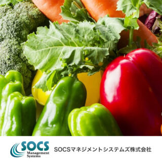 SOCSマネジメントシステムズ株式会社のイメージ画像