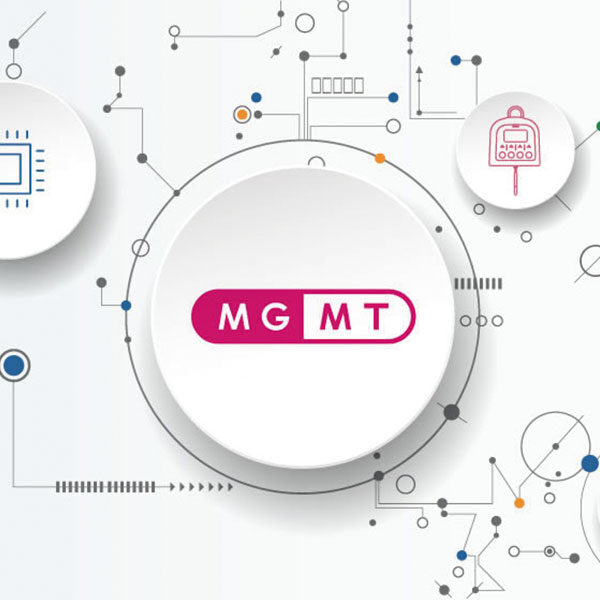 株式会社MGMTのイメージ画像