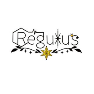 株式会社regulusのイメージ画像
