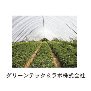 GT&Lが推進する「倍速栽培による植物工場の収益の向上」のイメージ画像